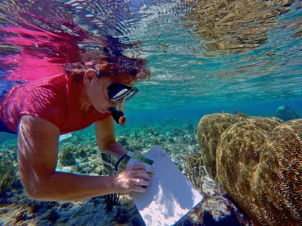 Scientific Expeditions