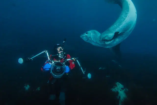 South Georgia Dive Trip