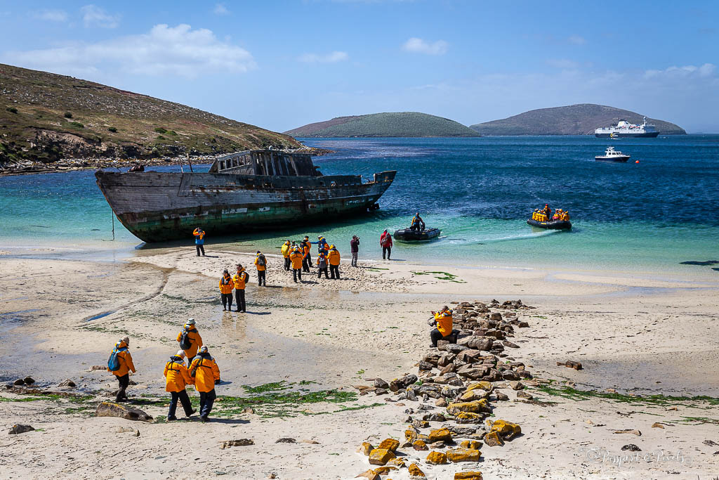 Falkland Islands diving