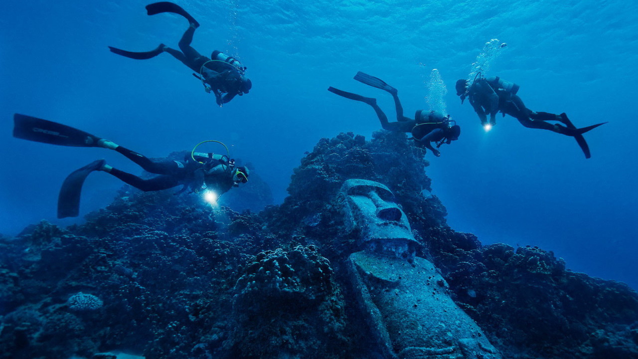 Scuba diving with seals