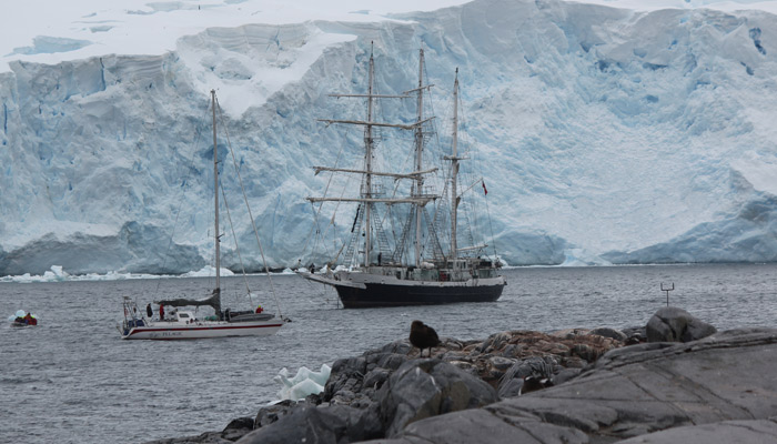 High Latitude Consultancy