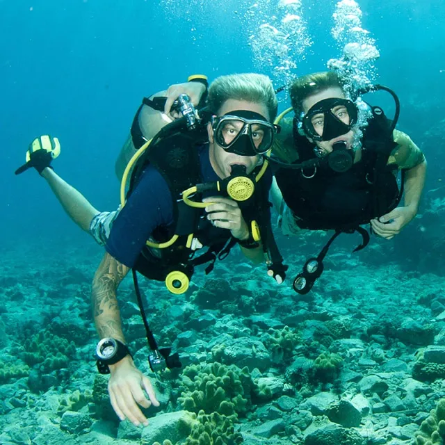 Stern platform Chronicles  Australis